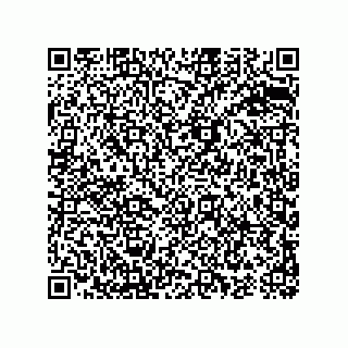 vCard 74987110285