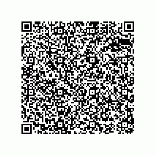vCard 74987110307