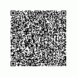 vCard 74987139003