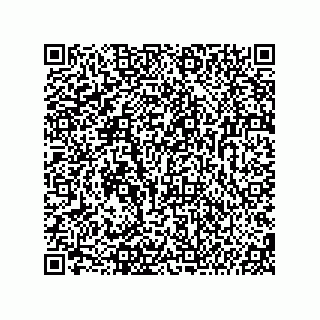 vCard 74987139011