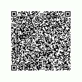 vCard 74987139012