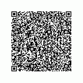 vCard 74987139013