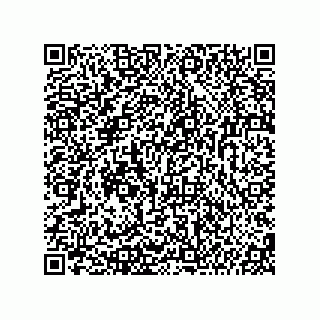 vCard 74987139015