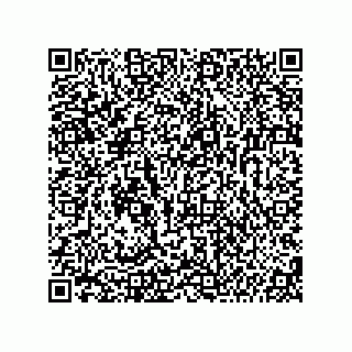 vCard 74987139063
