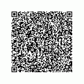 vCard 74987139073