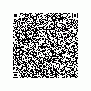 vCard 74987139085