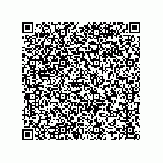 vCard 74987139087