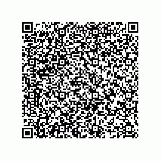 vCard 74987139103