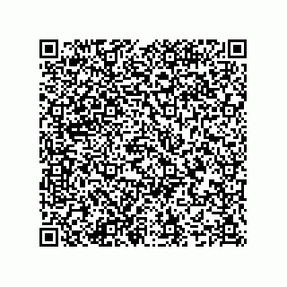 vCard 74987139107