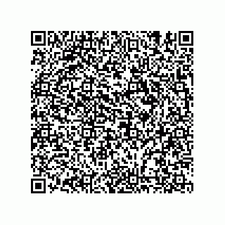 vCard 74987139128