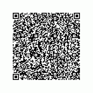 vCard 74987139129