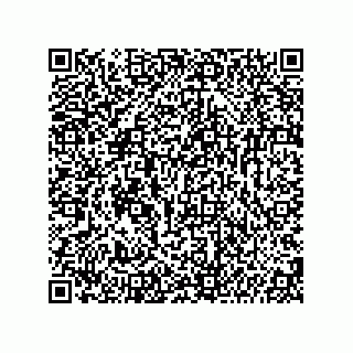 vCard 74987139130
