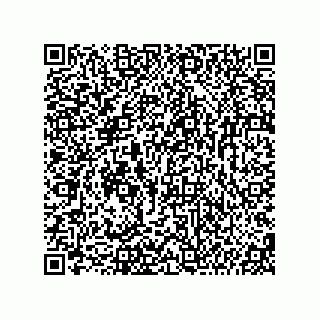 vCard 74987139131