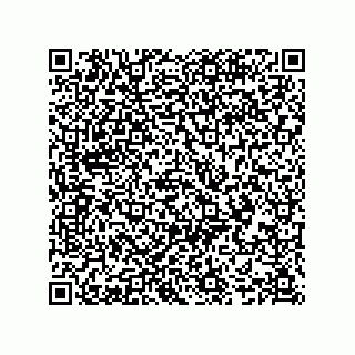 vCard 74987139132