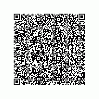 vCard 74987139133