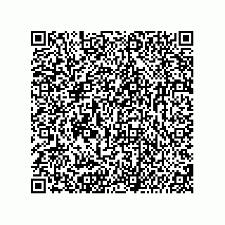 vCard 74987139134