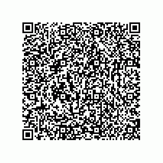 vCard 74987139138
