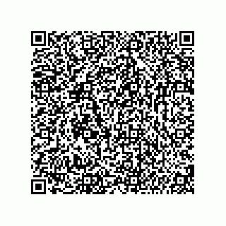 vCard 74987139139