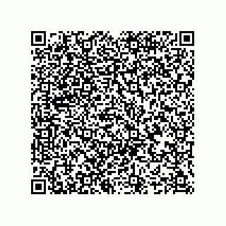 vCard 74987139149