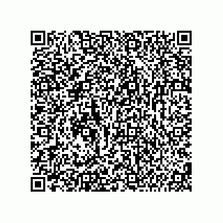 vCard 74987139173