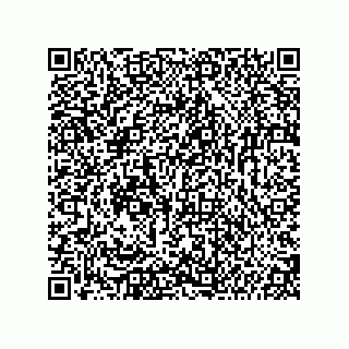vCard 74987139175