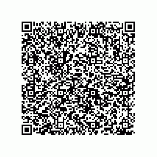 vCard 74987139203