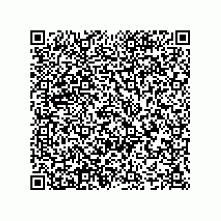 vCard 74987139209