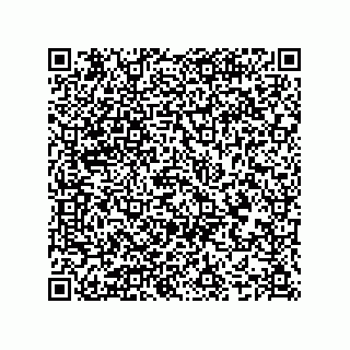 vCard 74987139223