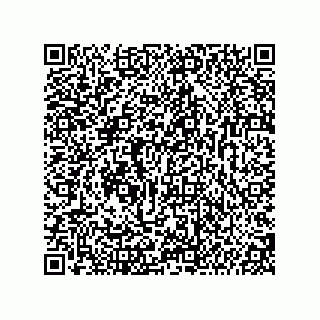 vCard 74987139231
