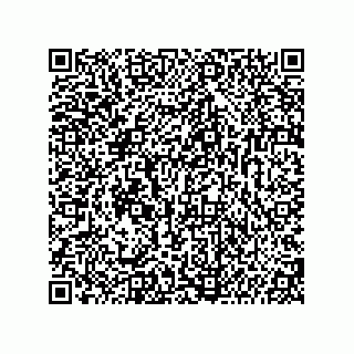vCard 74987139232