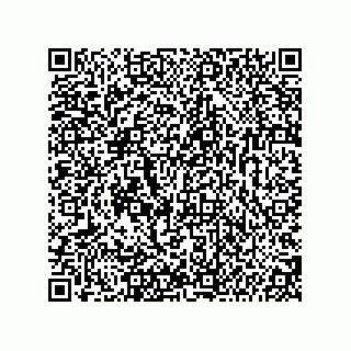 vCard 74987139234