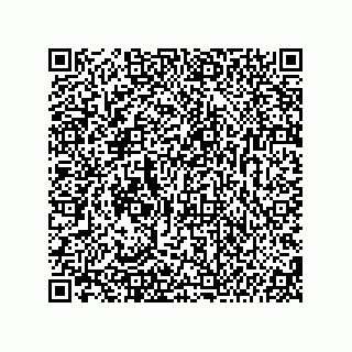 vCard 74987139235