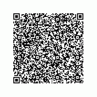 vCard 74987139258
