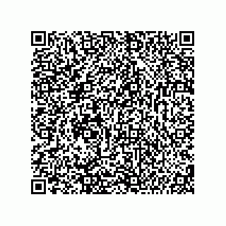 vCard 74987139275