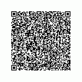 vCard 74987139278
