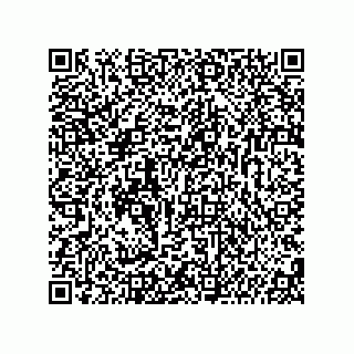 vCard 74987139279
