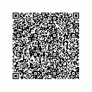 vCard 74987139285