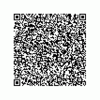 vCard 74987139287