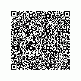 vCard 74987139289