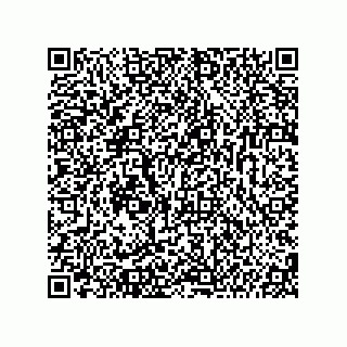 vCard 74987139291