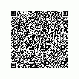 vCard 74987139293