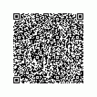vCard 74987139299
