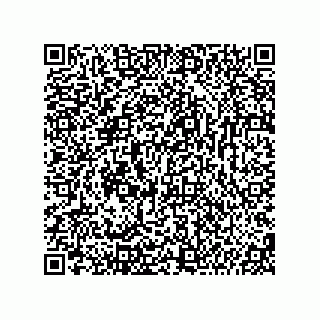 vCard 74987139303