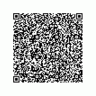 vCard 74987139304