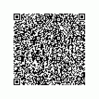 vCard 74987139305