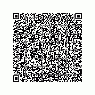 vCard 74987139309