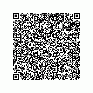 vCard 74987139331