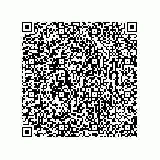 vCard 74987139333