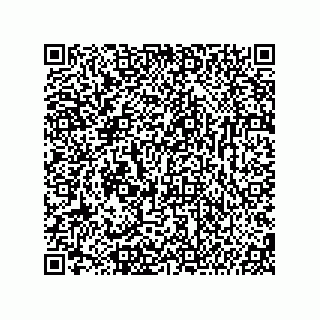 vCard 74987139334