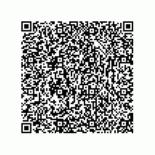 vCard 74987139335
